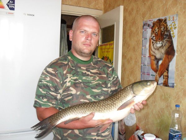 Андрей Александров