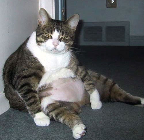 Александр Гузняев