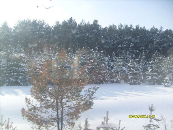 Михаил Чекмарёв