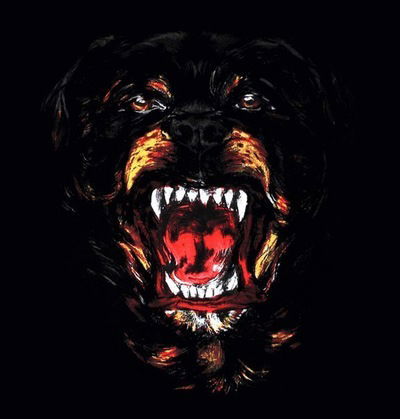 Никита Волков