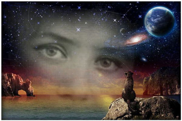 Светлана Светлана