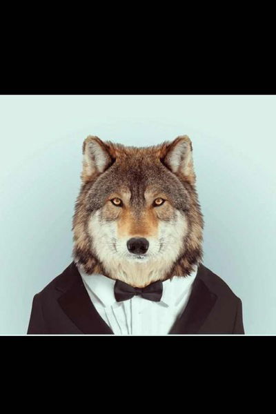 Дима Семенов