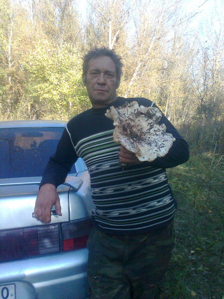 Сергей Мурашкин