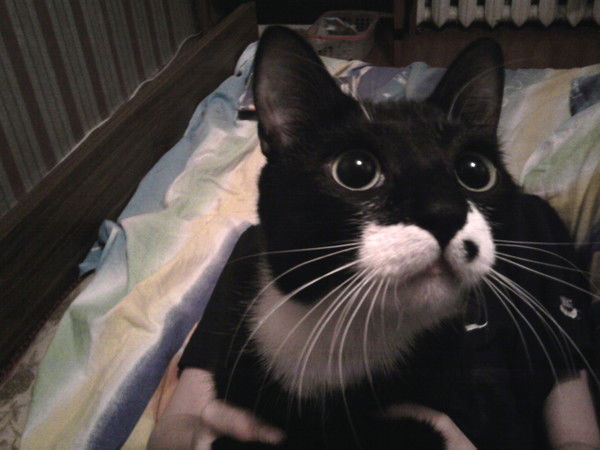 Тюменцев Константин