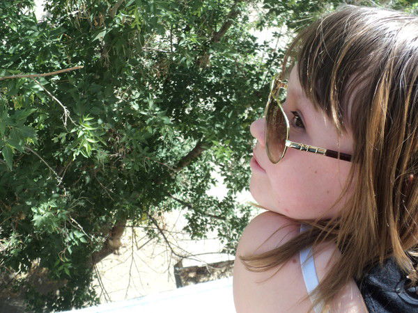 ***Кролистка ***