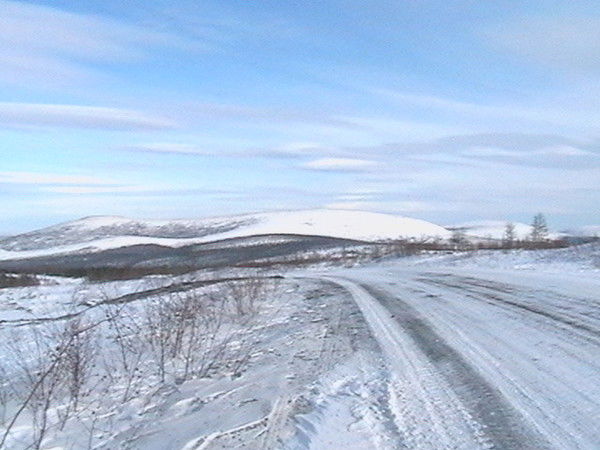 Анна Осипова