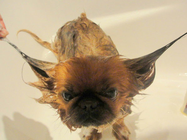 Юрий Кравченко