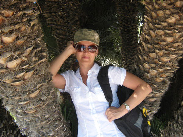 Елена Птичка