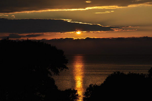 Анатолий Шурмелев