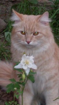 Вера Чижова