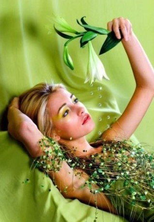 Lilu-Soll Майстер