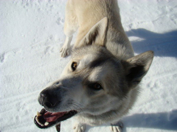 Богдан Иванкив