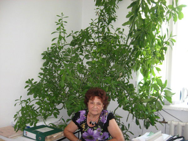 Фарида Булаткулова