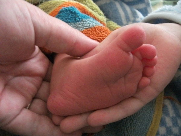 Ольга Зауэр