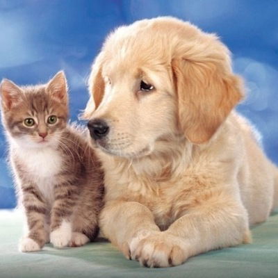 Кариша Колесникова