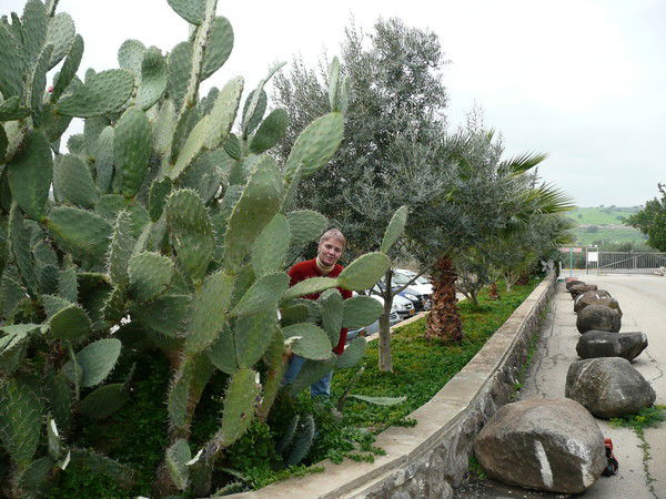 Лариса Лaпина