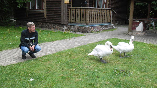 Владимир Коржов