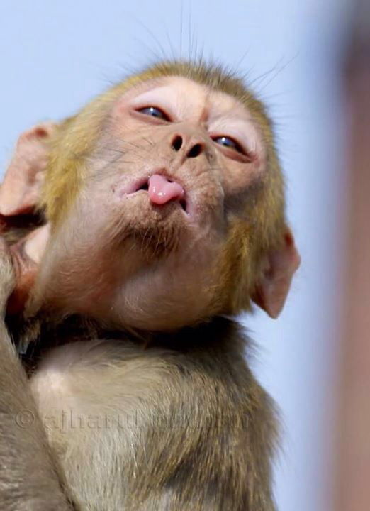 Победитель Bond