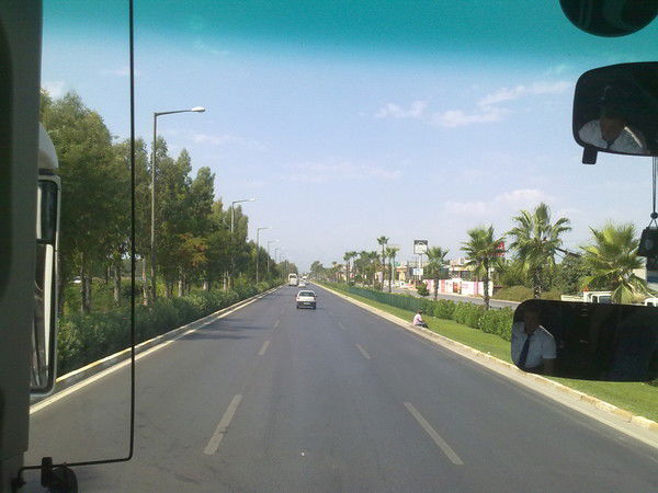 Женя Алексеев Зф