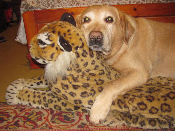 Ирина Тюганова