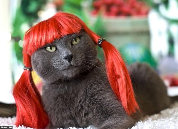 Юлия Тестова