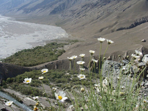 Наргис Тоирбекова