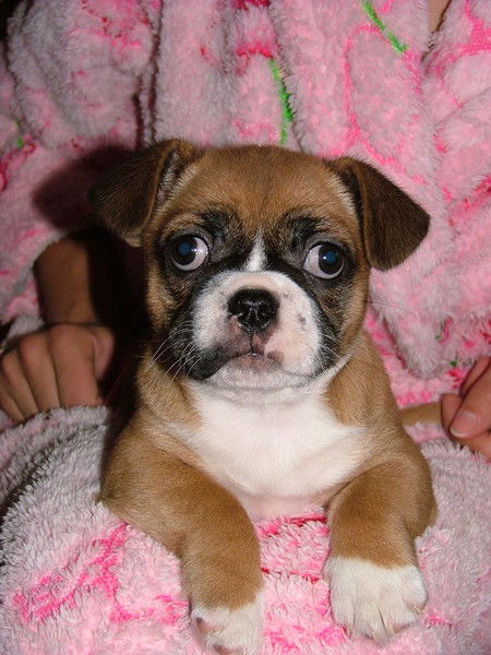 Алина Семенная