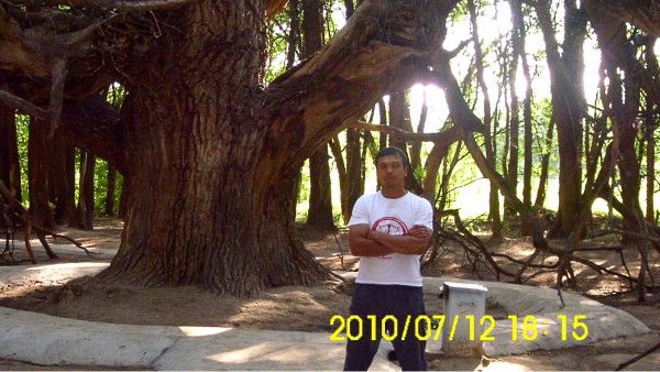 Нариман Касымов