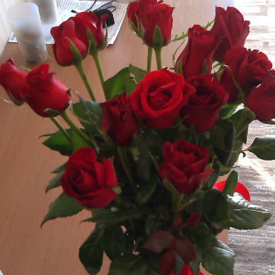 Галина Гулевич (Бондикова)