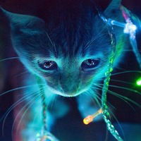 Олеся Сидоренко