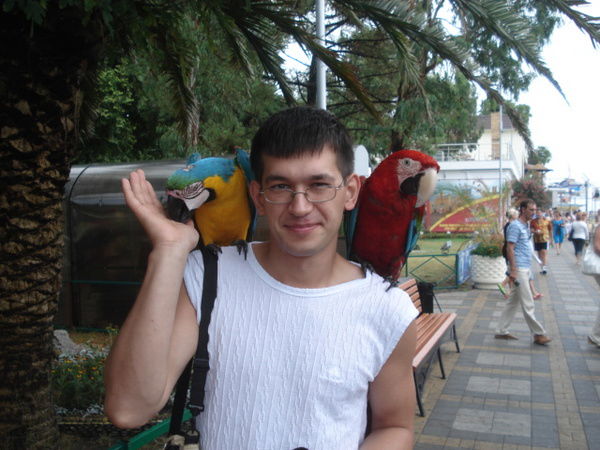 Дмитрий Арт