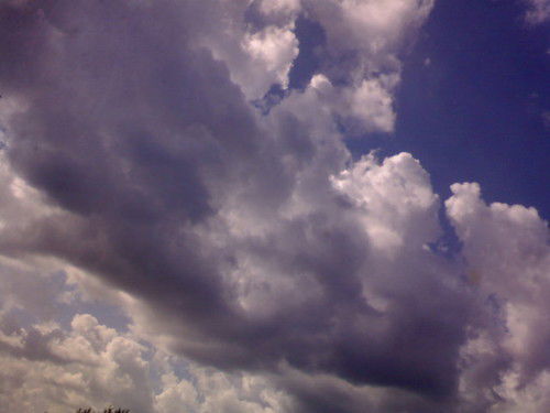 Александра Хлебникова