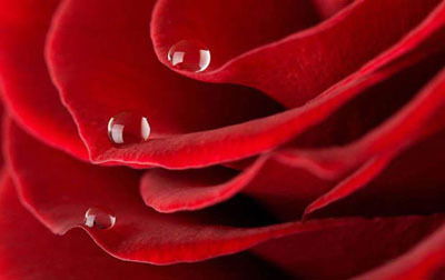 Наталья Ахметова