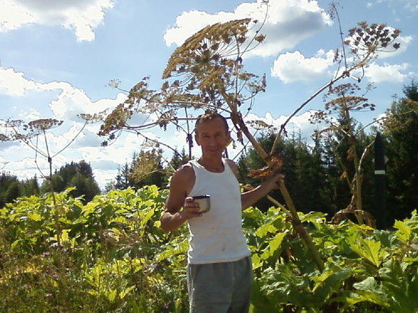 Виктор Ожегов