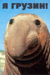 Денис Антошкин