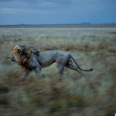 Валентин Костин