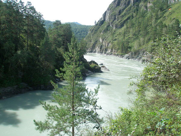 Сергей Евдокимов