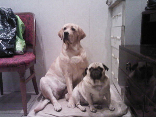 Марина Герасимова