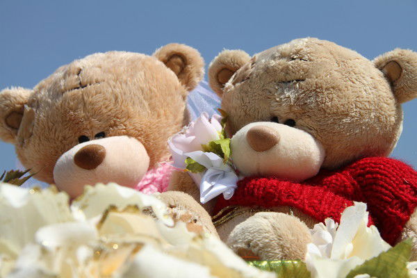 Елена Башлыкова