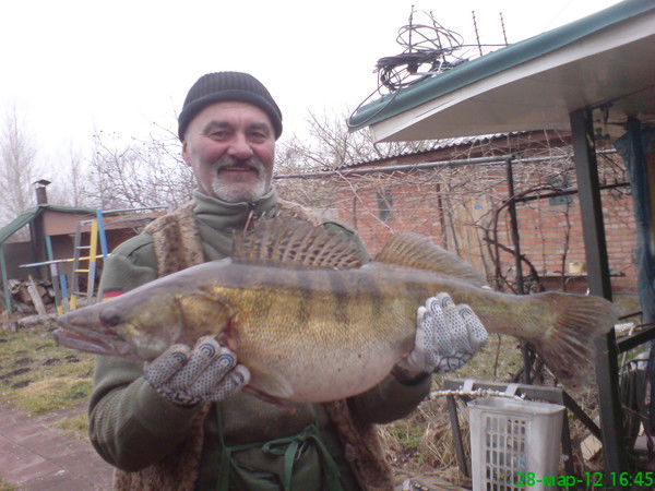 Владимир Иваненко