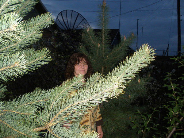 Светлана Христич