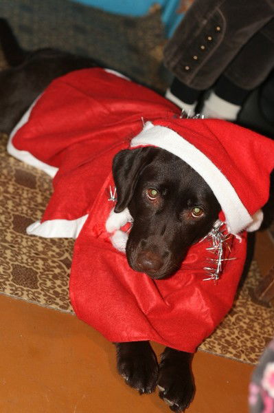 Алина Рыжих