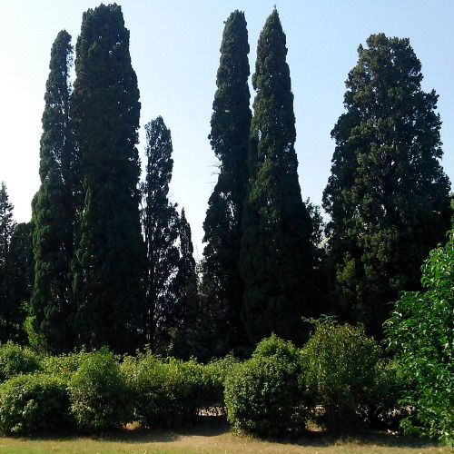 Роман Третьяк