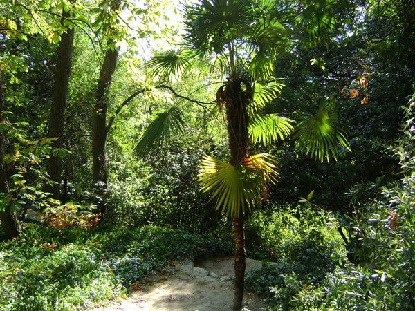 Вера Нестеренко