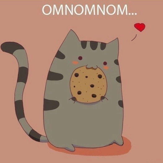 Кот Печенька