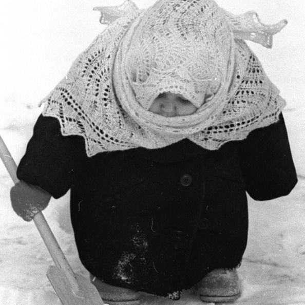 Алексей Веселков