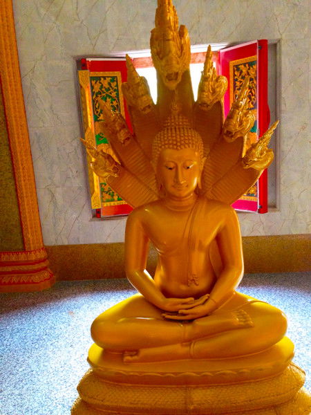 Ирина Анатольевна