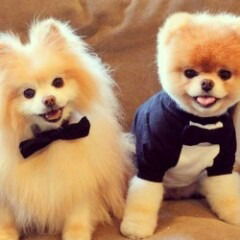 Боташка_ Ботик