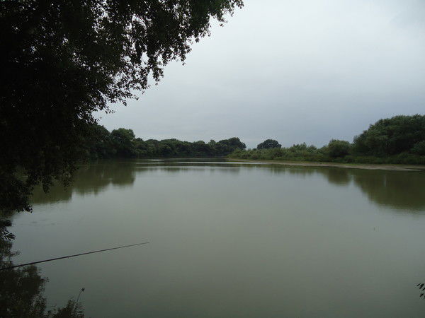 Шамсият Ханмагомедова