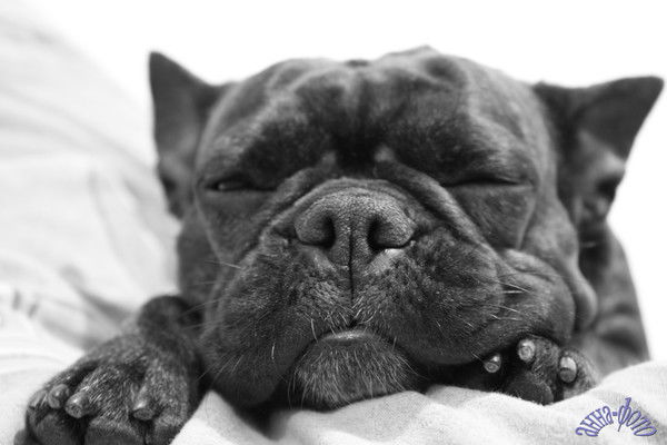 Александр Романов